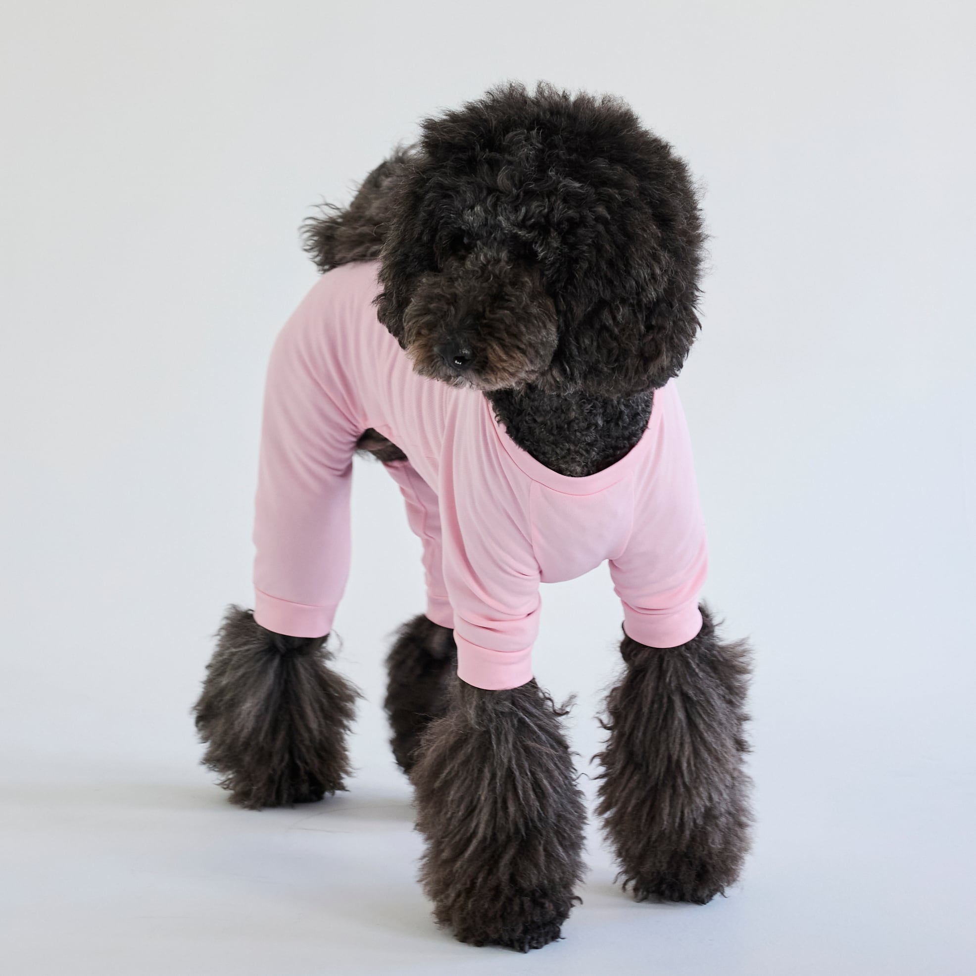 大型犬服 クールロンパース 【専用】 265509大型犬サイズ】冷感ロンパース | 犬服ブランド 2e deuxieme cale