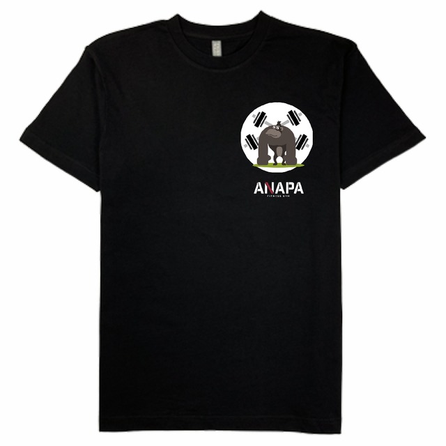 ANAPA T-shirt ~front logo~【black】