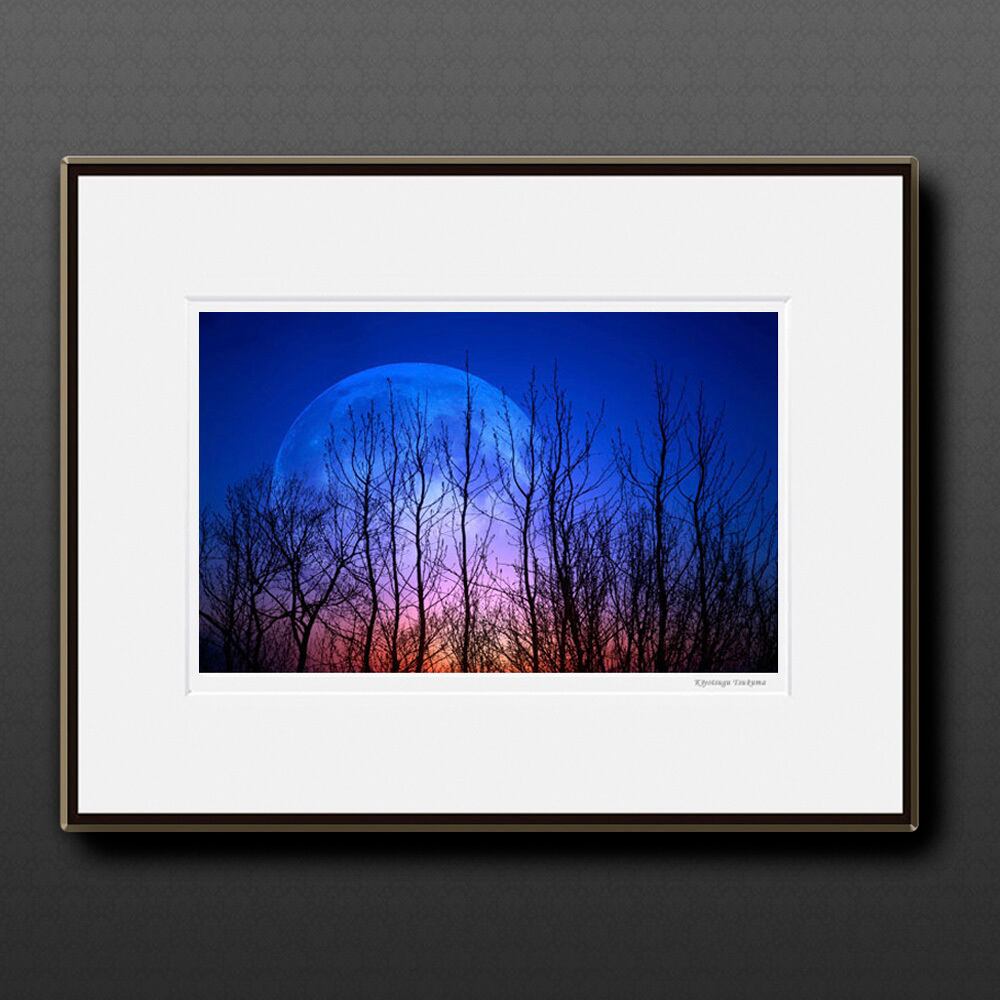 夜想 #1 ■額縁サイズ(大全紙)726×544mm