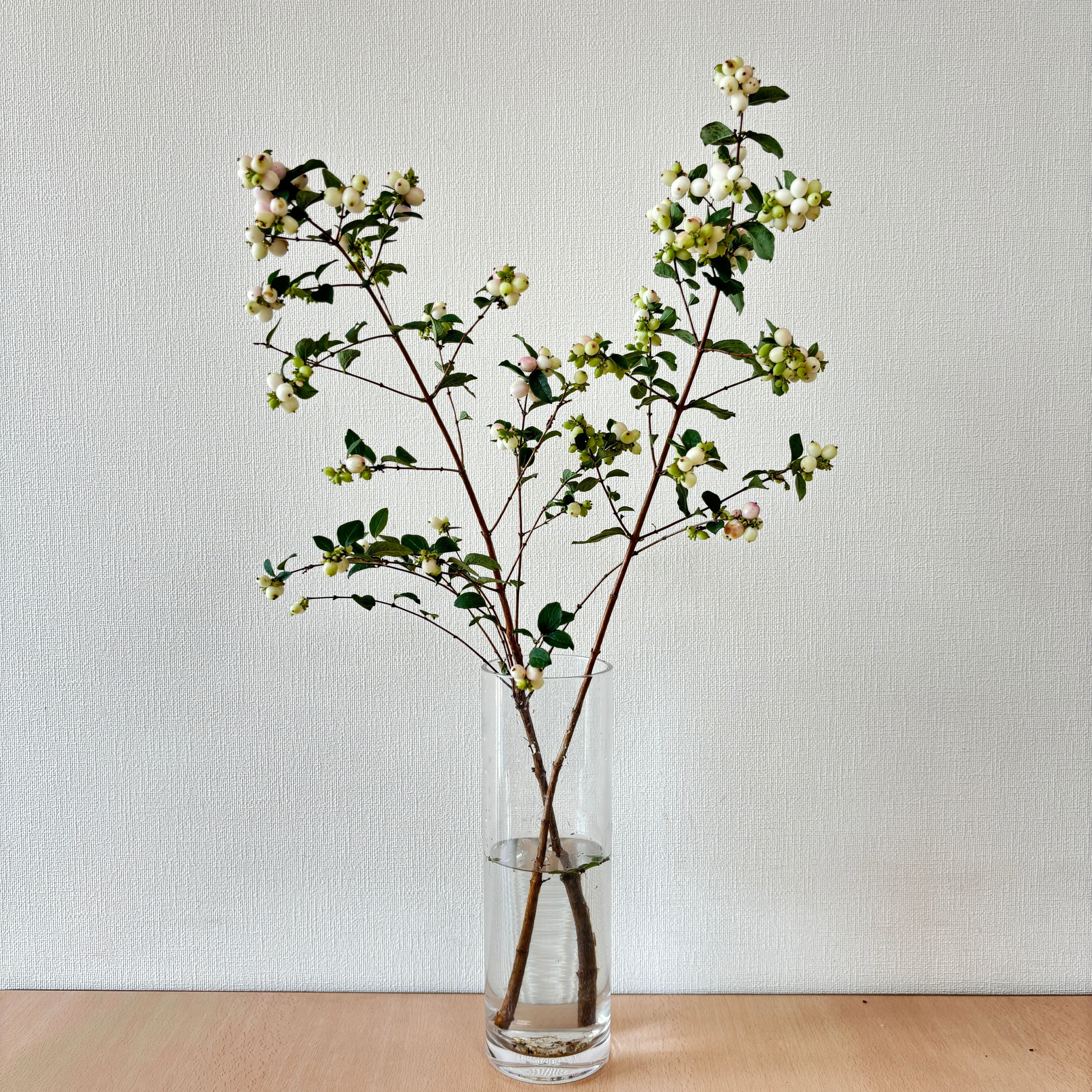 リカルメ花歩 AZONE INTERNATIONAL::Iris Collect Petit::商品紹介-商品詳細