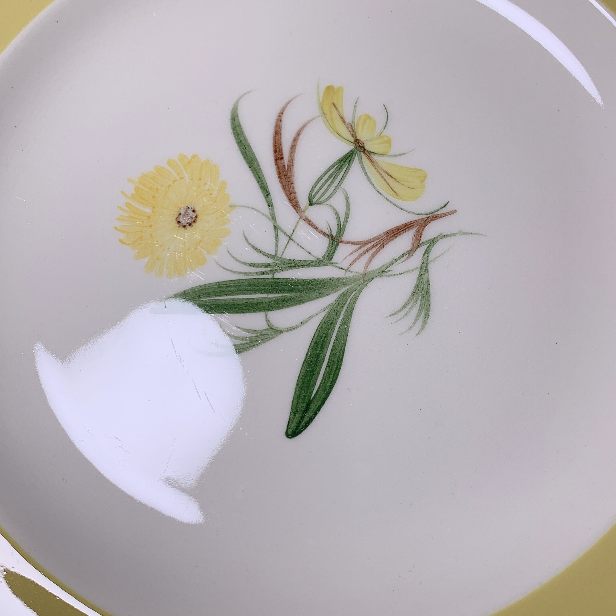 スージークーパー マリーゴールド プレート19.5cm D スージークーパー マリーゴールド プレート19.5cm D | bonbon mignon