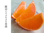 まどんな　訳あり品