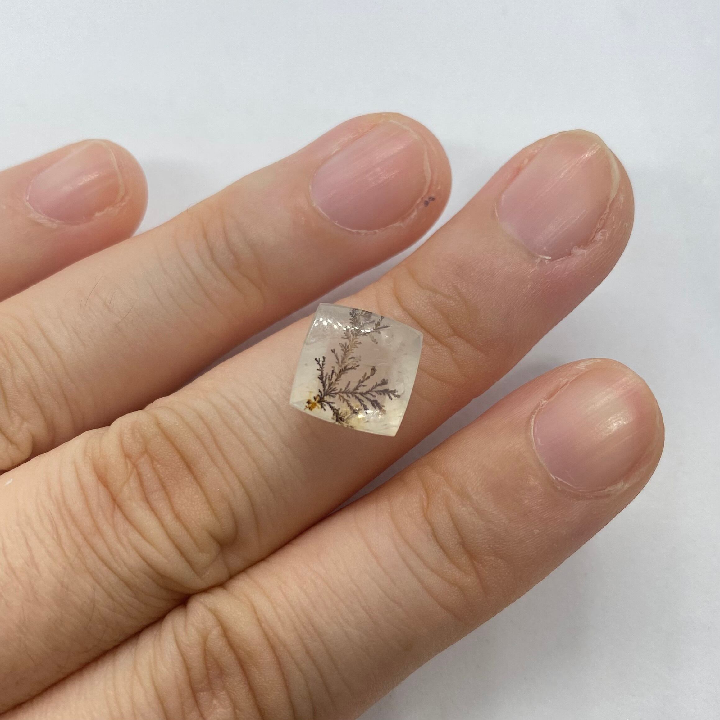 インスタライブでご紹介　デンドリティッククオーツ