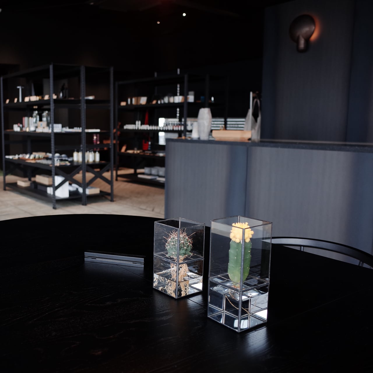 ステンドグラス技法で製作されたテラリウム容器》Hydro 80:80 | TERRA