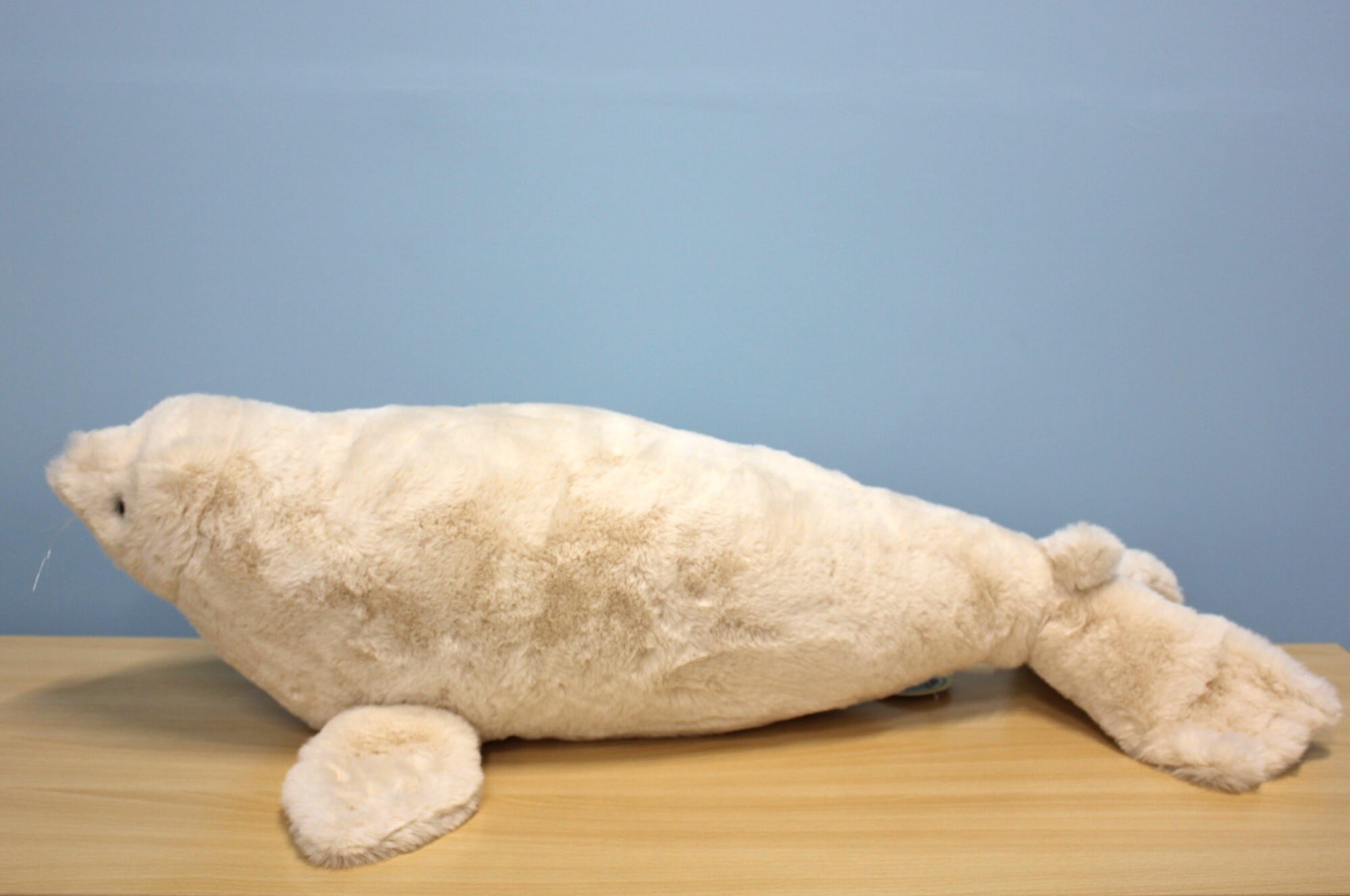 1/4以降順次発送予定）等身大ゴマフアザラシぬいぐるみ | 男鹿水族館