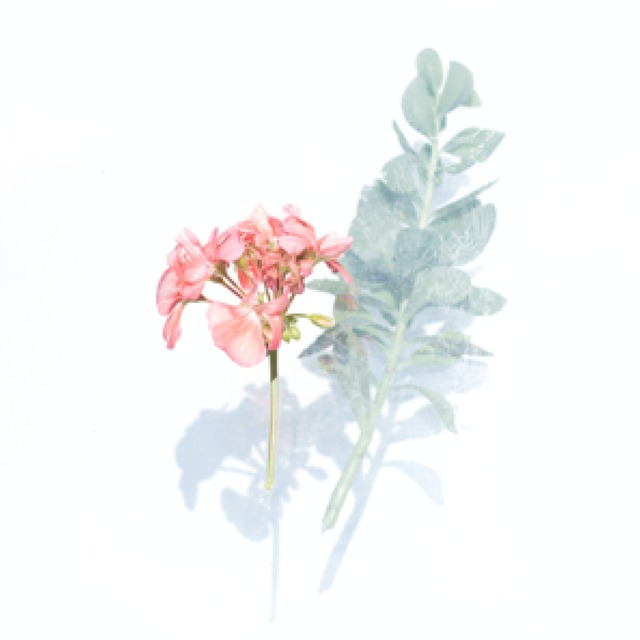 【LOVEBUZZ】ピアス：メッシュのハートピアス（ホワイト & ゴールド）