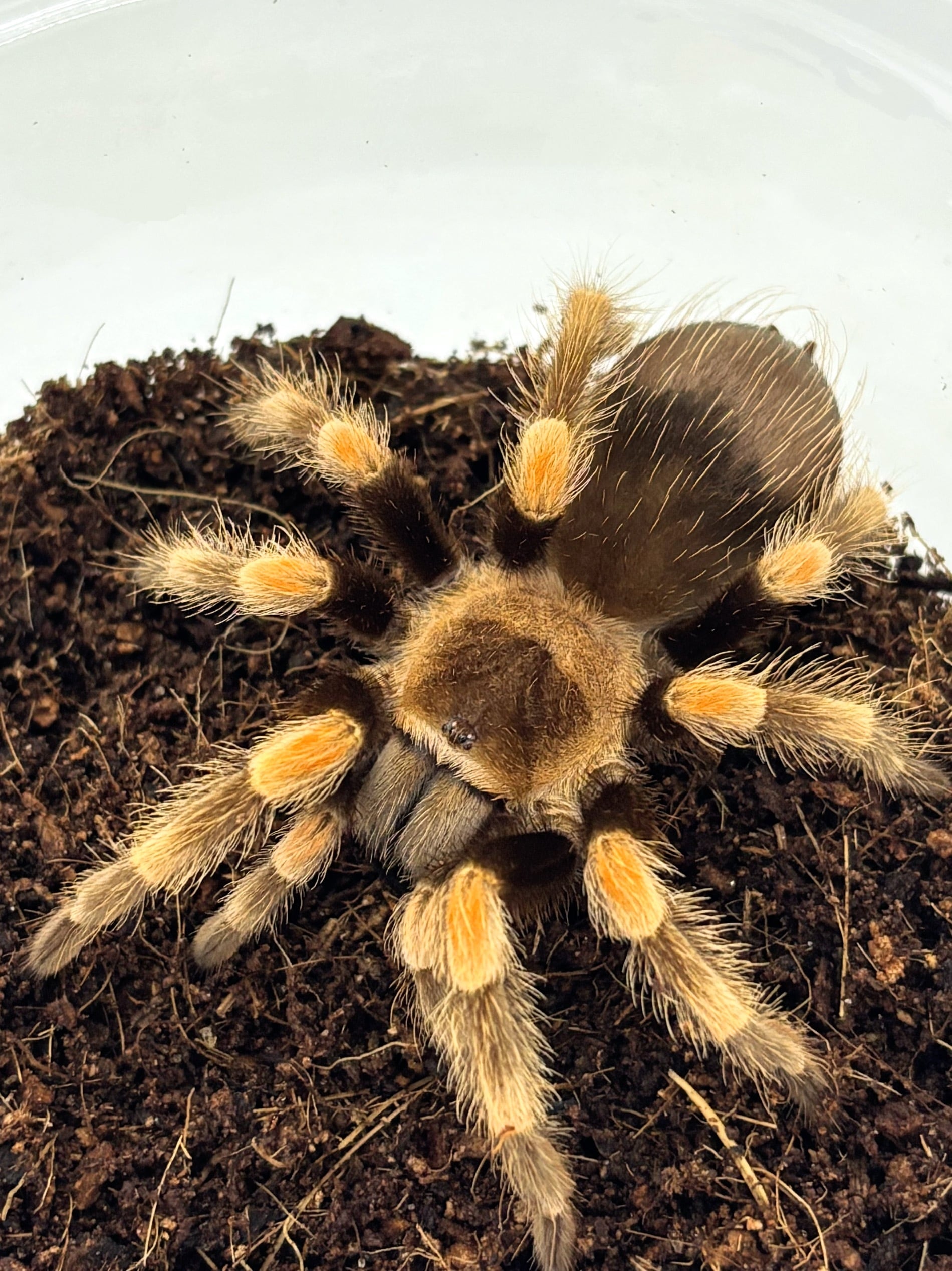 f15f5daeec963d315b429591bc8097