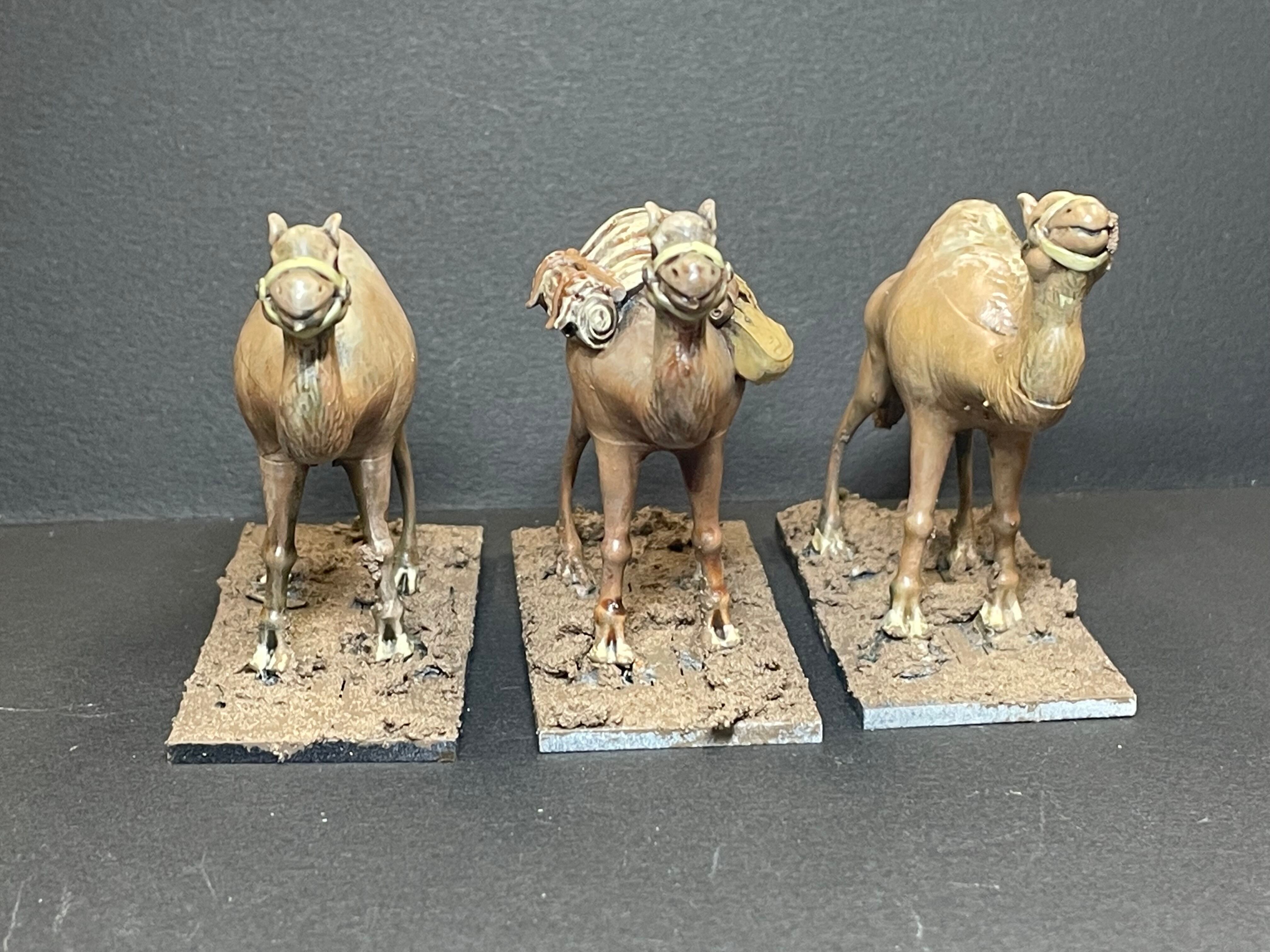 ラクダ・セット | フロストグレイブ・ミニチュア・ゲーム・ショップ