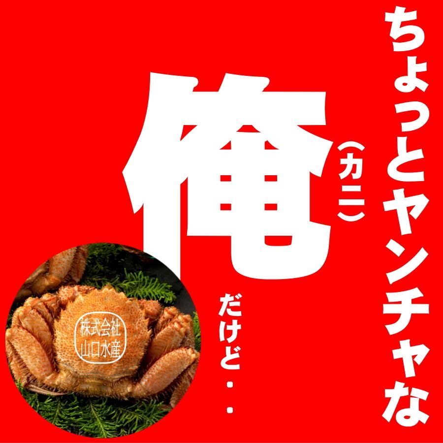 山口水産　匠の極上仕上げ　訳あり１キログラム前後　【詰め合わせ・冷凍】