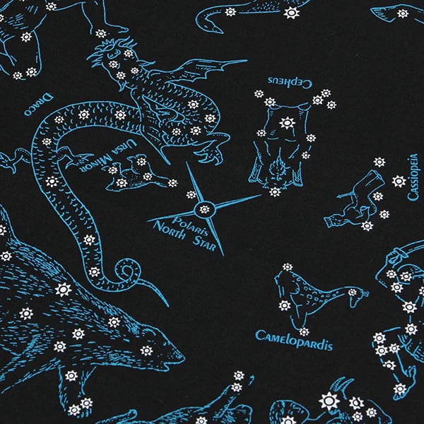 The Printed Image / ネイチャープリントバンダナ（星座） | THE