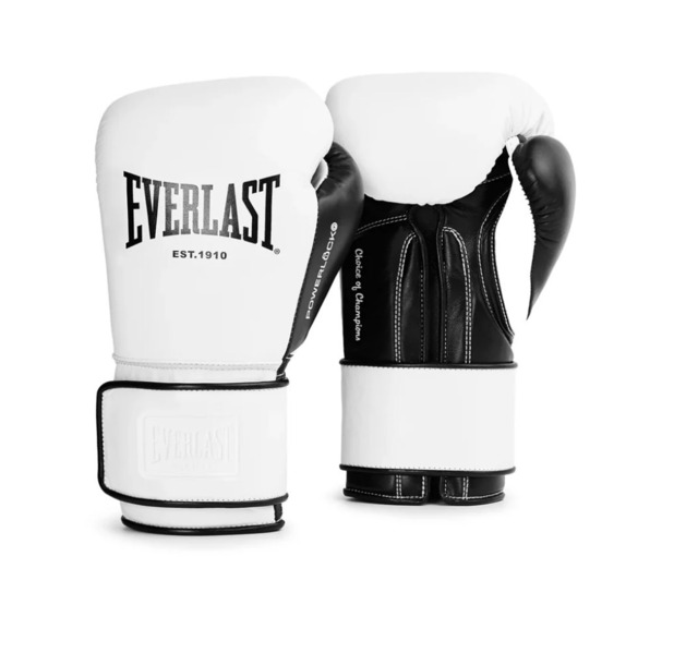 Everlast エバーラストパワーロックOGプロトレーニンググローブ　ホワイト