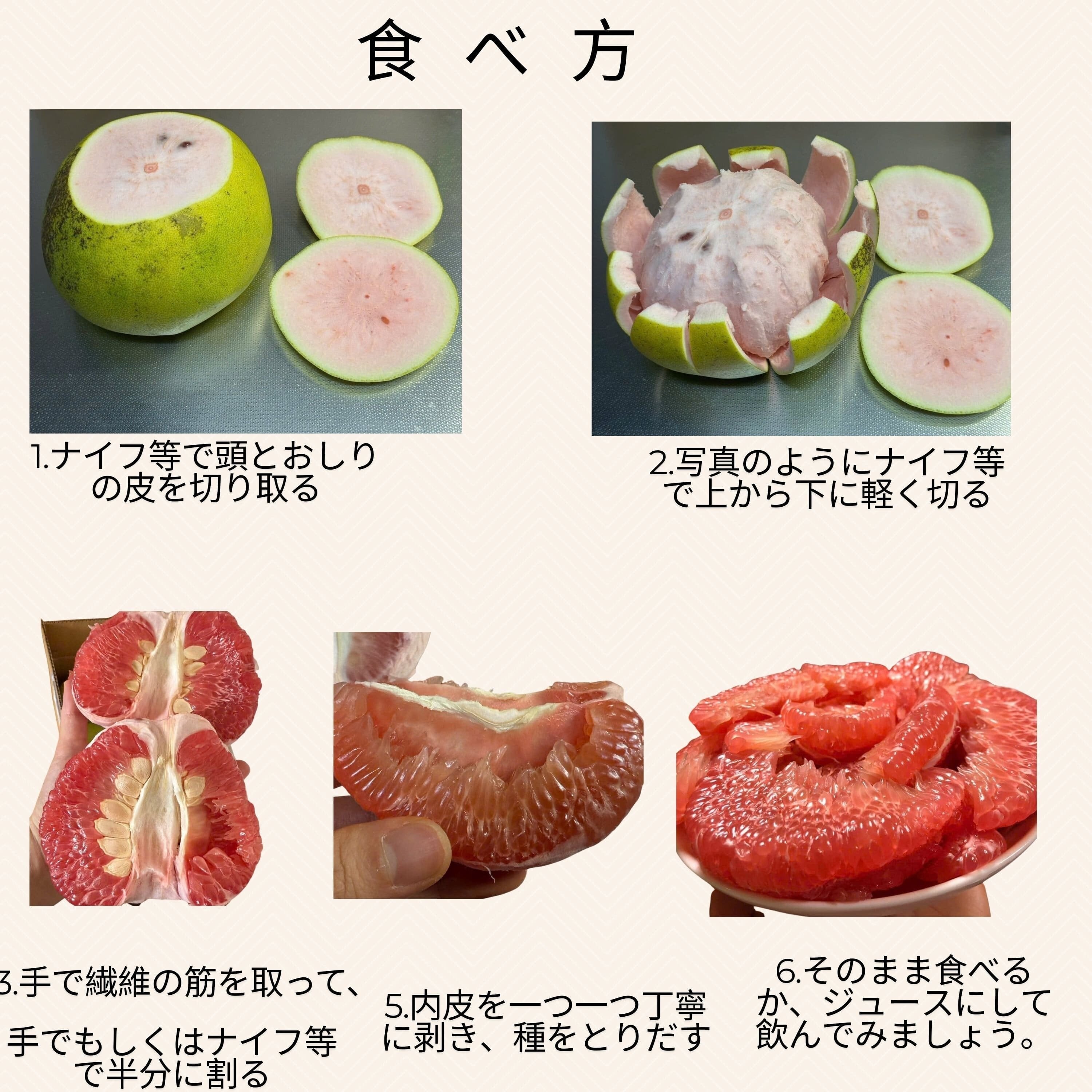 SAM&AIMEE STORE】ザボン 熊本県産 ザボン 文旦 果物 赤肉／白肉混ぜる