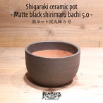 【送料別】黒マット尻丸鉢 5号〔信楽焼〕