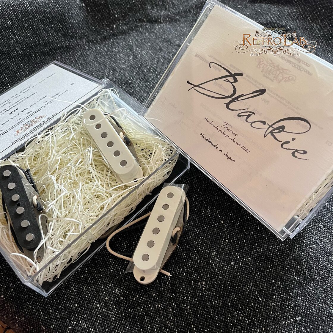 Tourus Handmade Pickups 
