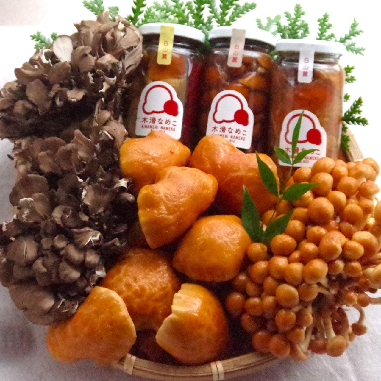 なめこ　まとめ売り 木滑なめこ | yamadachikai