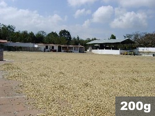 グァテマラ | アゾテア農園　ウォッシュド | コーヒー豆200g