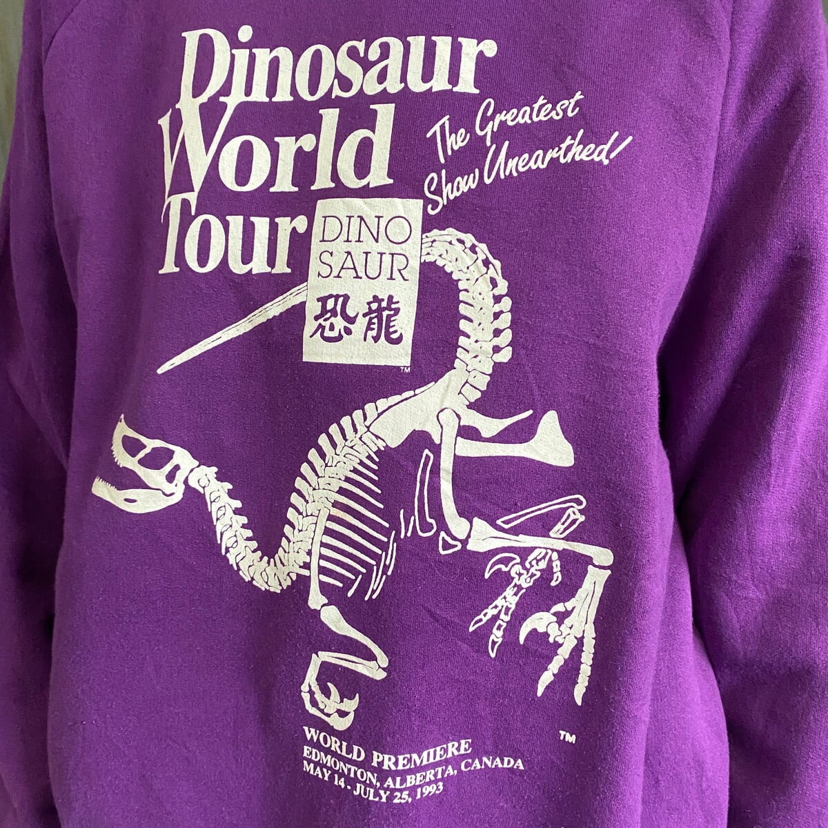 90年代 Dinosaur World tour ダイナソー 恐竜  プリント スウェットシャツ  メンズL相当