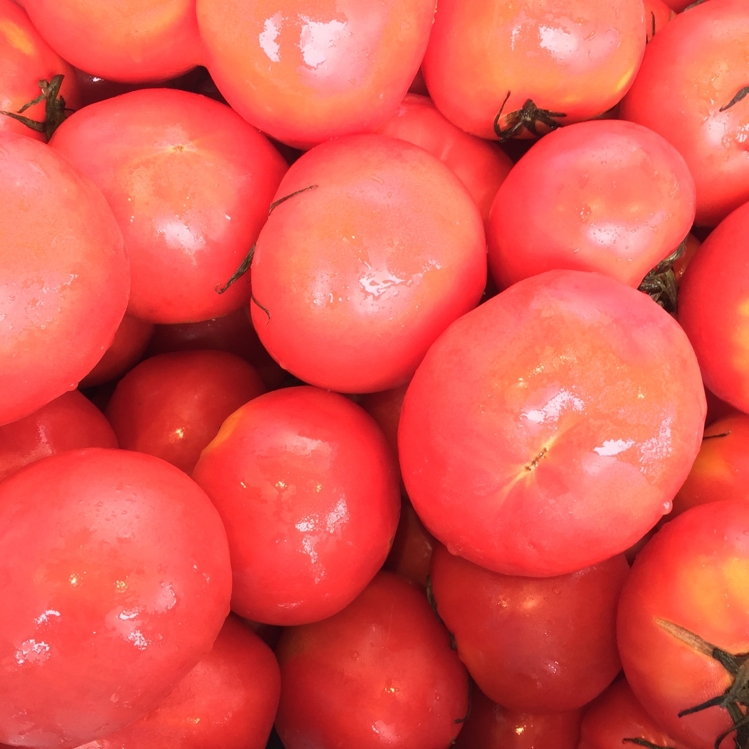 f16bd86275b5e0072b3bb86b74905c