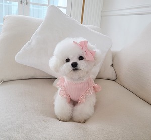 予約 【cocochien】ピューリティシャツ(クロップ)