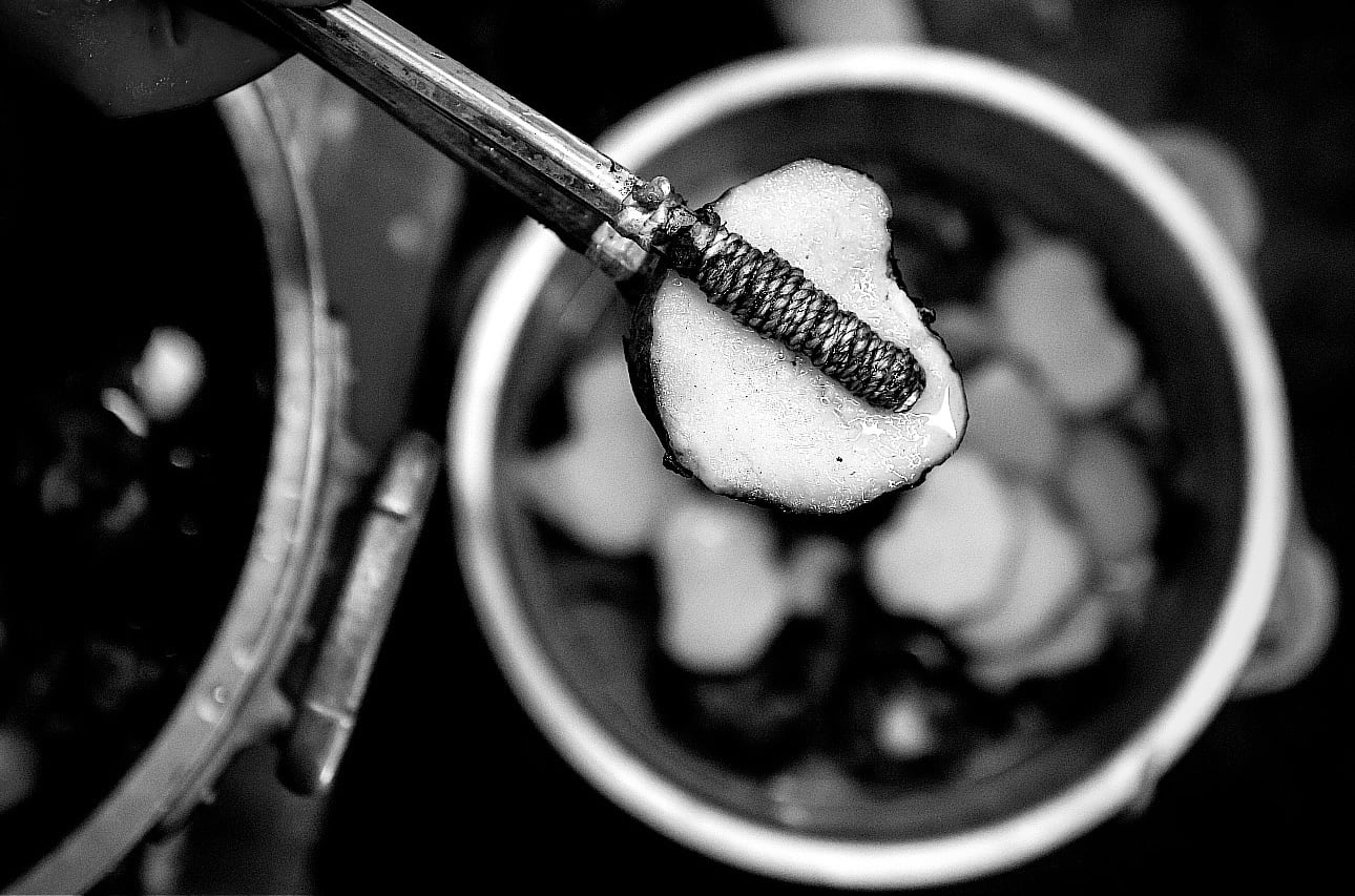 おこんにゃく 【煮炊き用】 | 工房 やぶせ