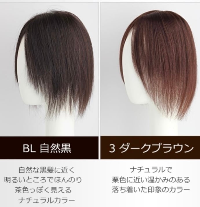 広範囲⚪︎私元気！柔らかフィット通気性部分ウィッグ◎13×15cm髪の長