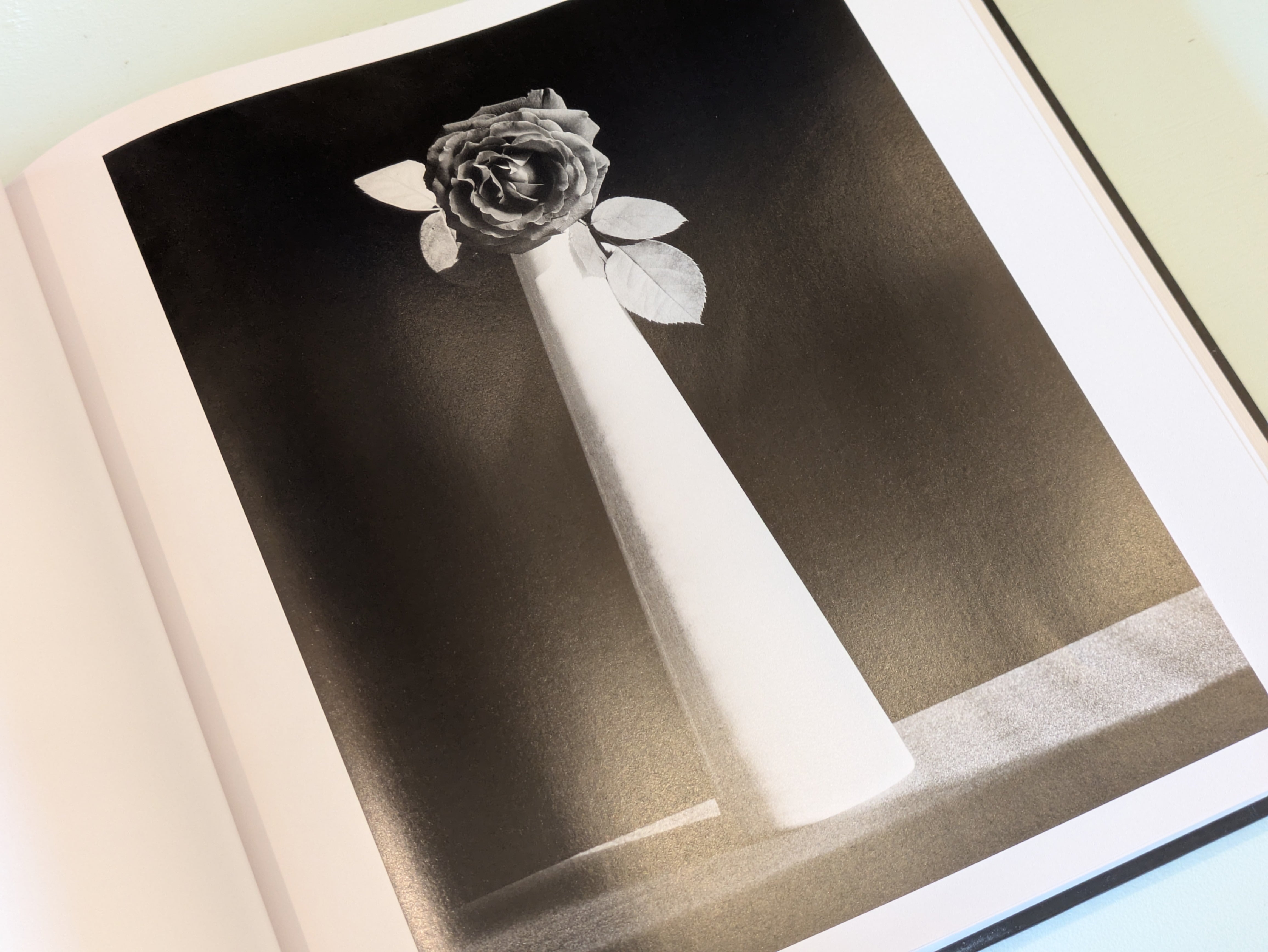 Mapplethorpe Flora : The Complete Flowers : Robert Mapplethorpe