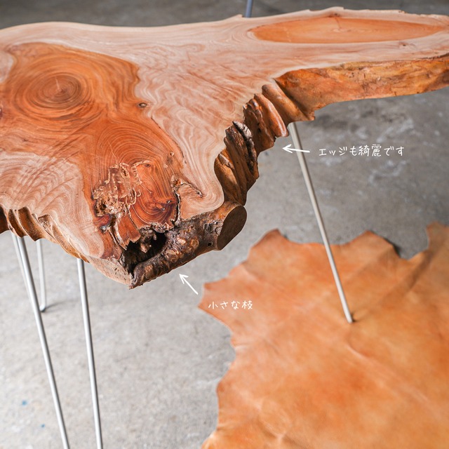 綾けやきのコーヒーテーブル