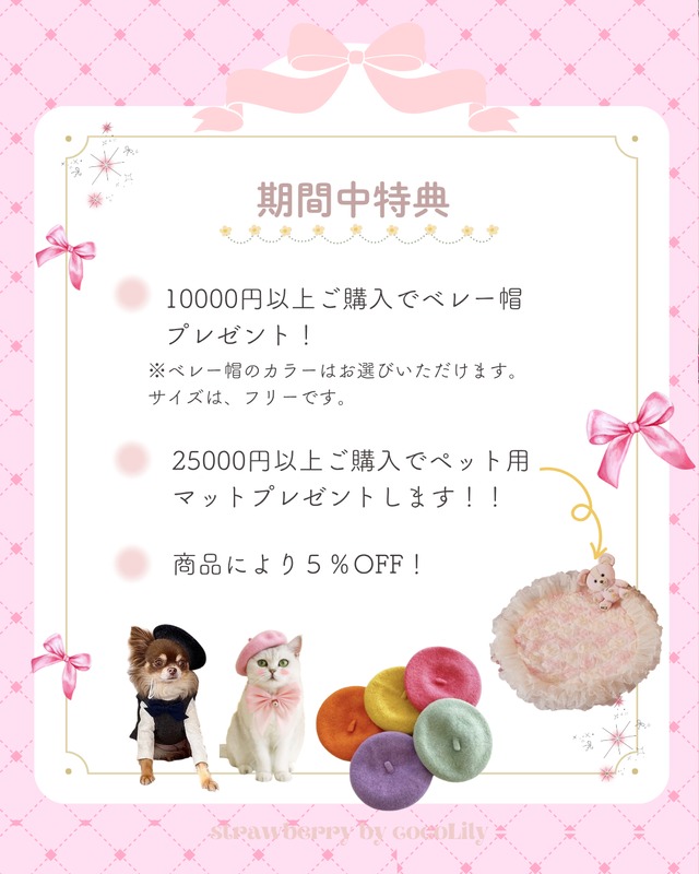 ♡ノベルティー♡10000円以上ご購入の方はこちらをcheck