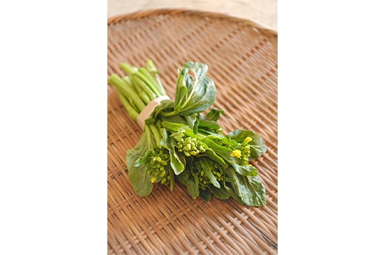 【春を待つ味】アスパラ菜・100g