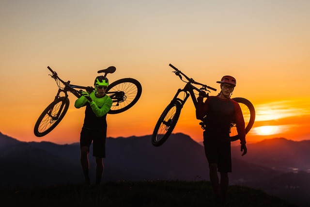 BBB(ビービービー) 軽量クイックリリース ホイールブロック