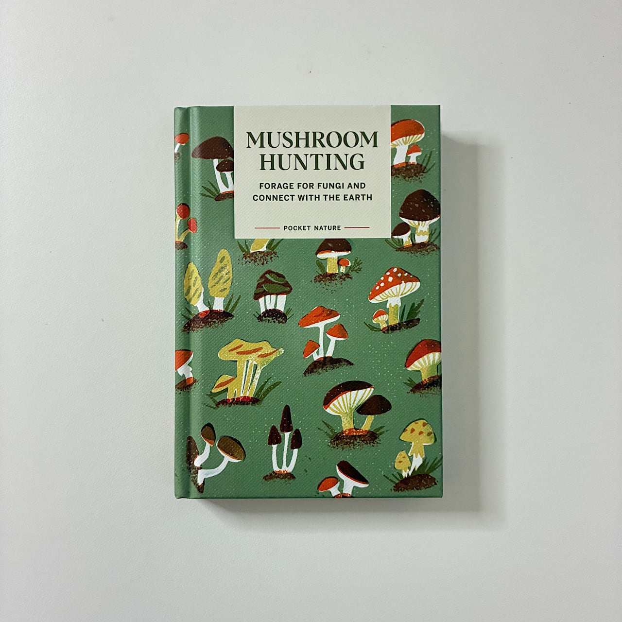 □ 読み物 | 素敵な洋書の絵本屋さん Read Leaf Books
