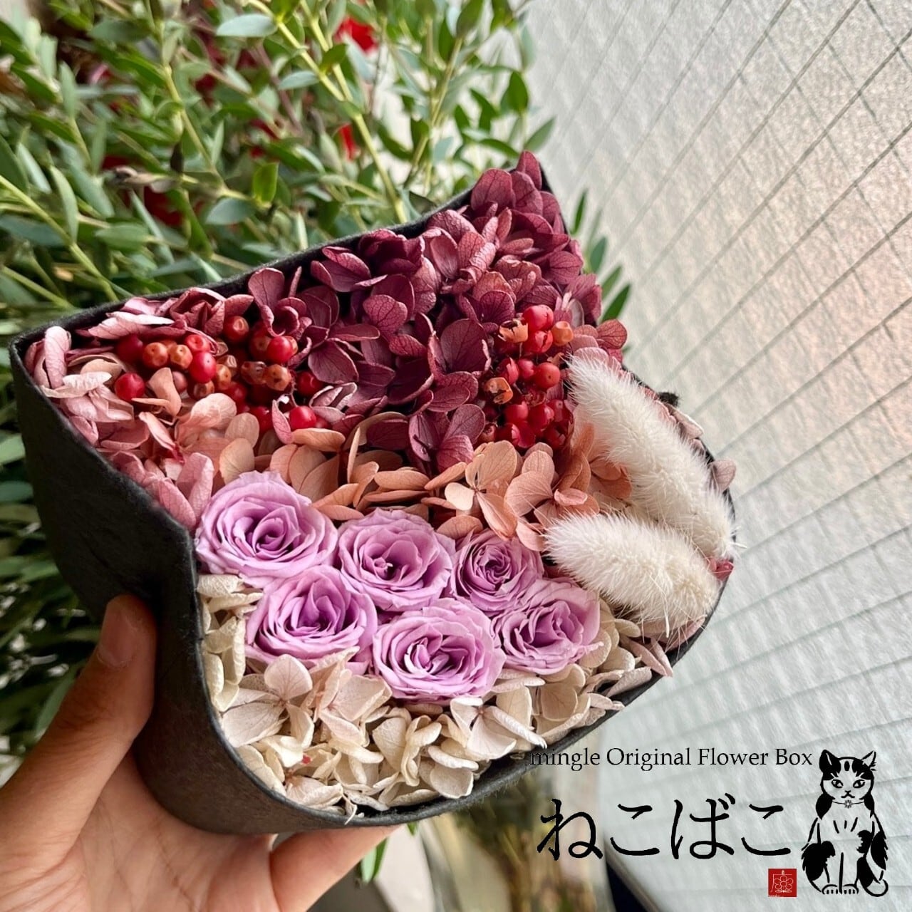 猫も杓子もネコ | 西麻布mingle