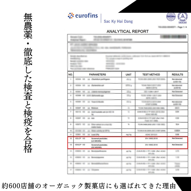 【本数多いほど1本価格がお得！】【タヒチ種・サイズだけ訳ありグレード 12cm・バニラビーンズ・15本】
