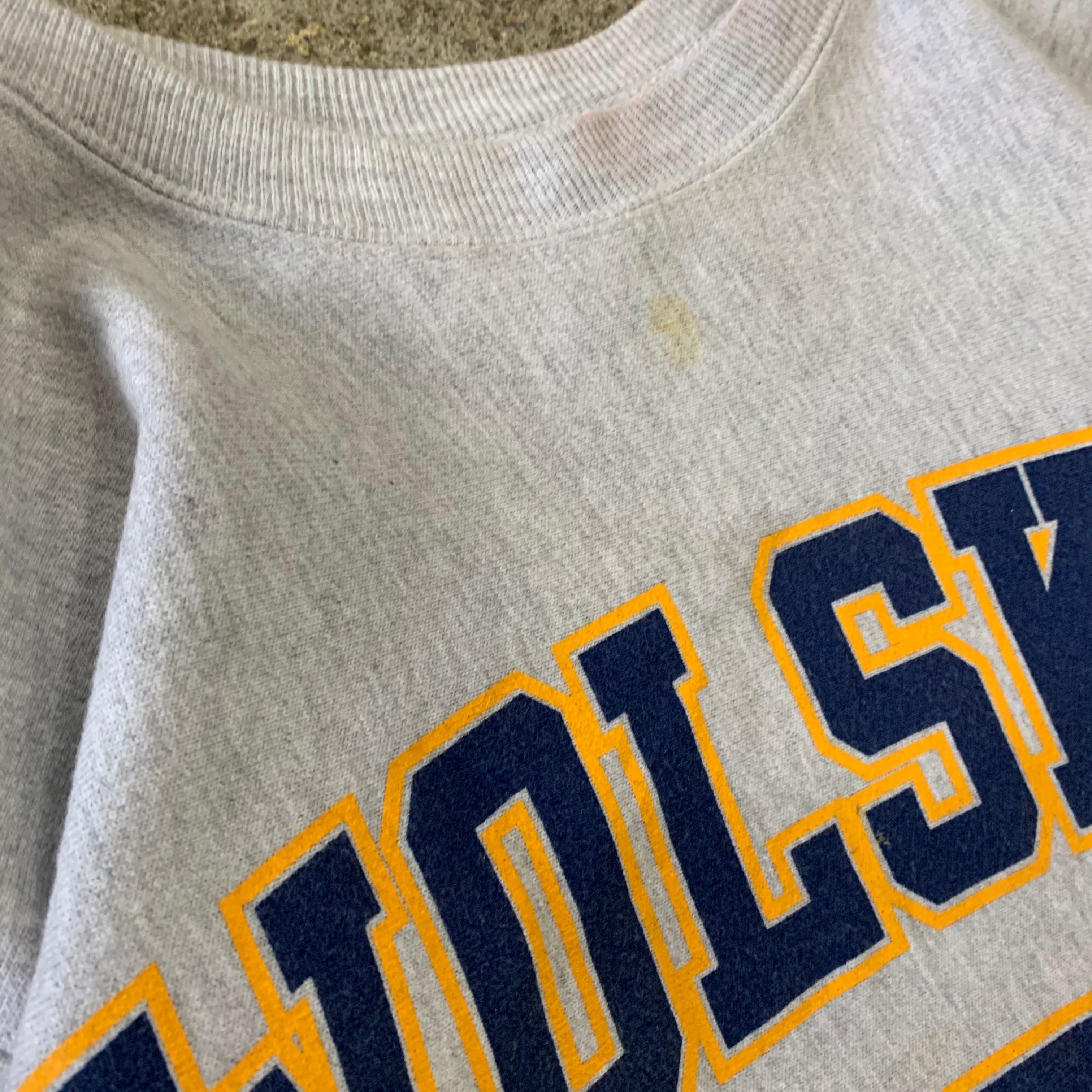00s Champion premium reverse weave sweat | What