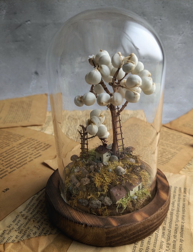 ナンキンハゼと小さな集落