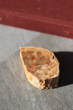 ペトリファイドウッド プレート |  Petrified Wood Plate ◇ 天然石・鉱物・パワーストーン | st00410