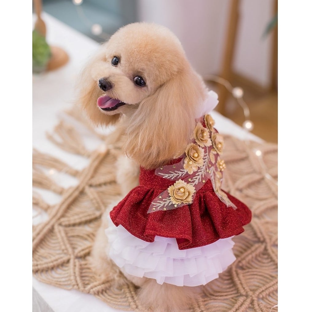 大型犬OK 背中の羽がポイント！特別な日の赤のワンピース | おむのおうち