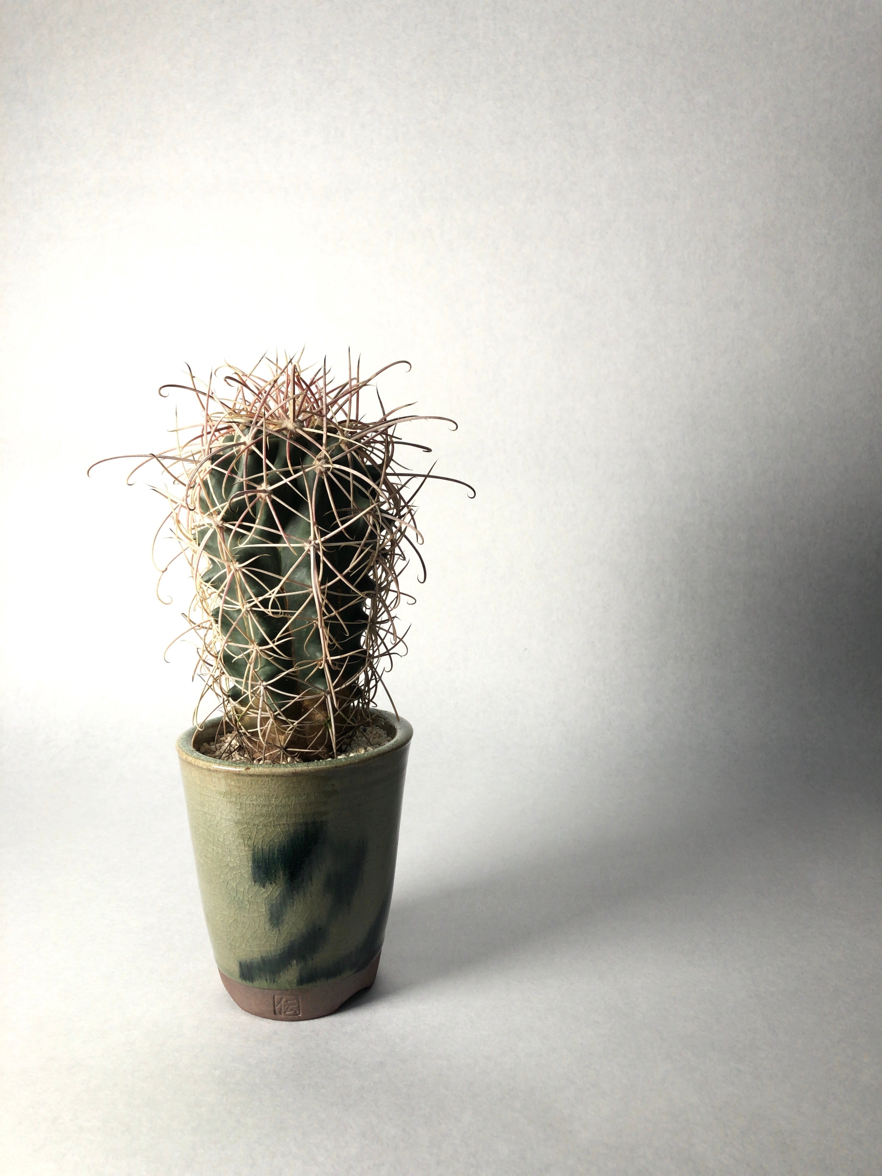 f18d279571e158699fd724b84829e9