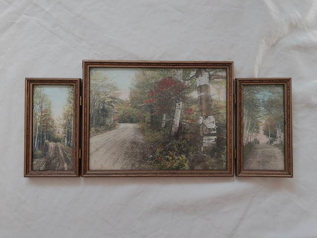 AMERICA vintage picture frame