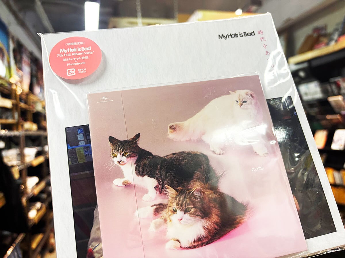 再入荷] 歌詞（うた）の本棚 DEAR MY FRIEND | GAIN GROUND