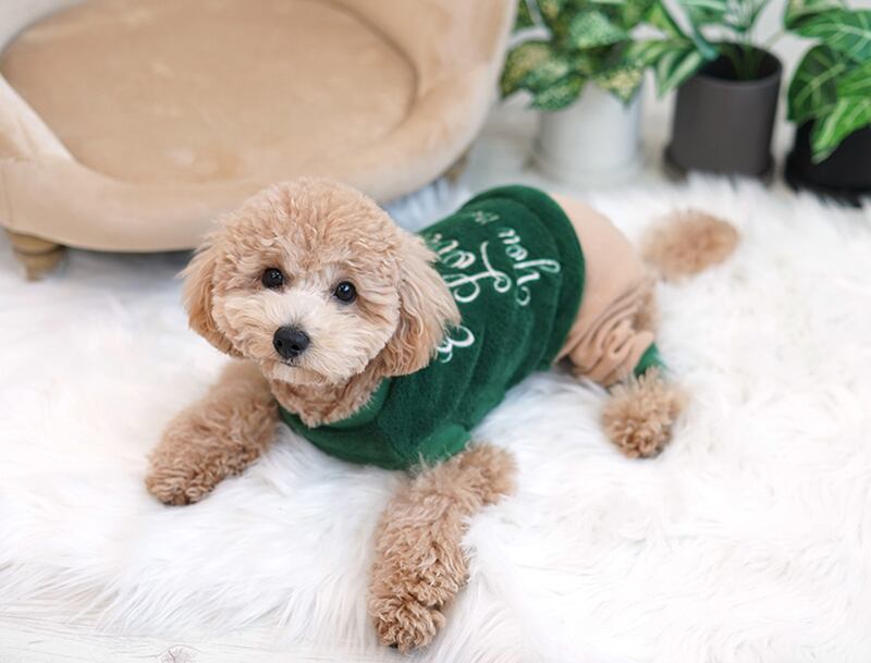 【SALE】 cozy all in one S ~ XL 2color  /  犬服 冬 オールインワン もこもこ ドッグウェア ロンパース 犬の服 シンプル ボア 暖かい