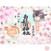 -招春桜猫- 七福猫御朱印【卯月・四月】