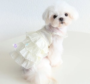 春夏ワンピース☆　XS〜XL