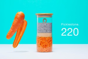 Picklestone220