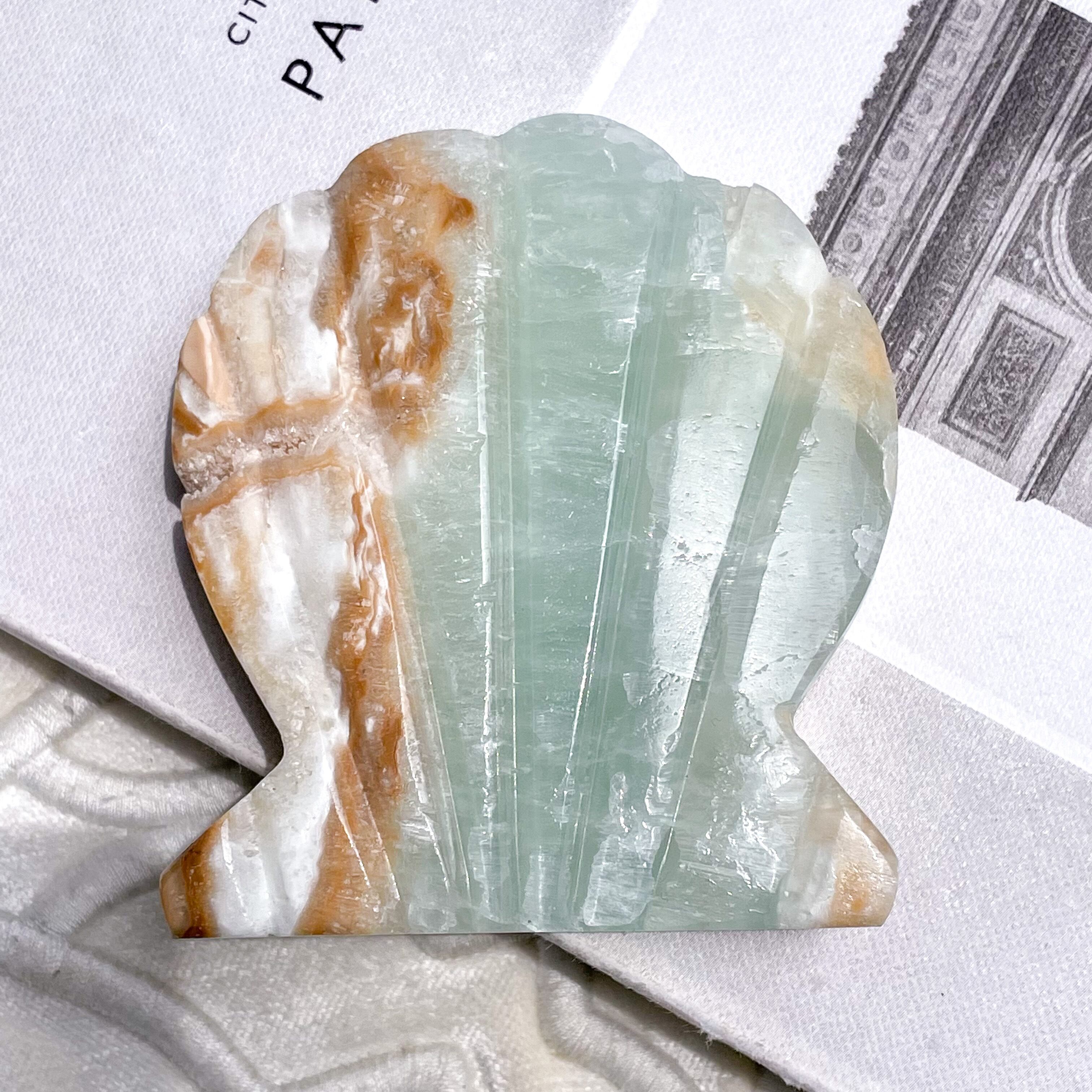 Caribbean Blue Calcite Shell 6 ✧ カリビアンブルーカルサイト