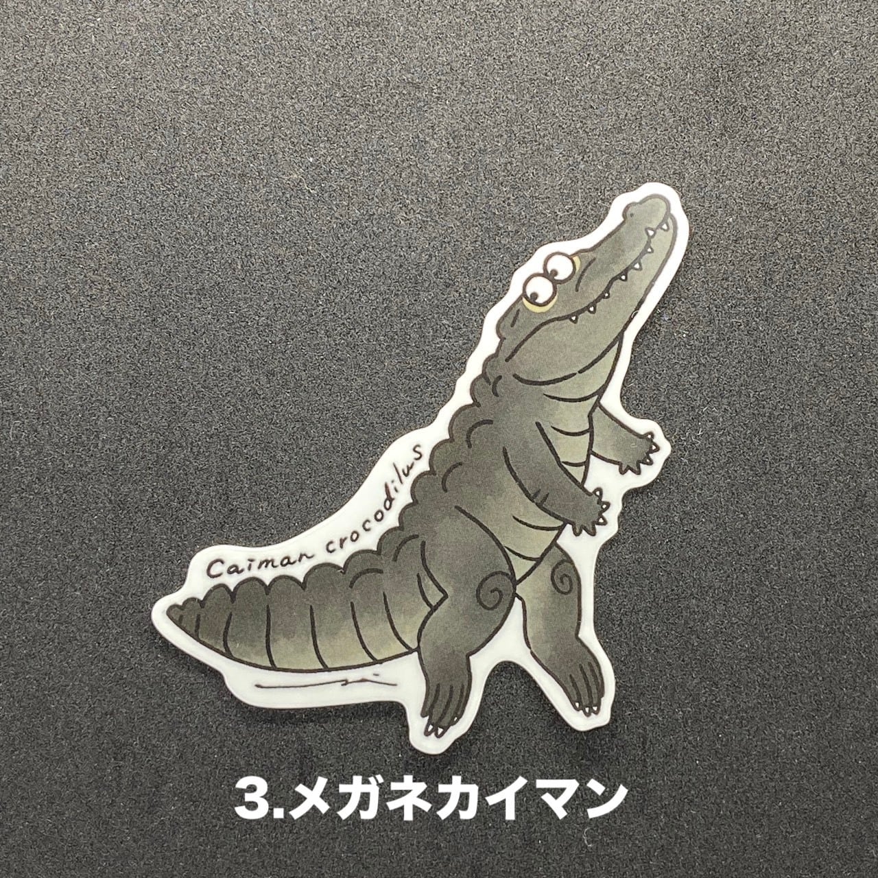 ゆるワニ ステッカー 5枚セット＜雨宮ひかるさんデザイン＞ | 熱川