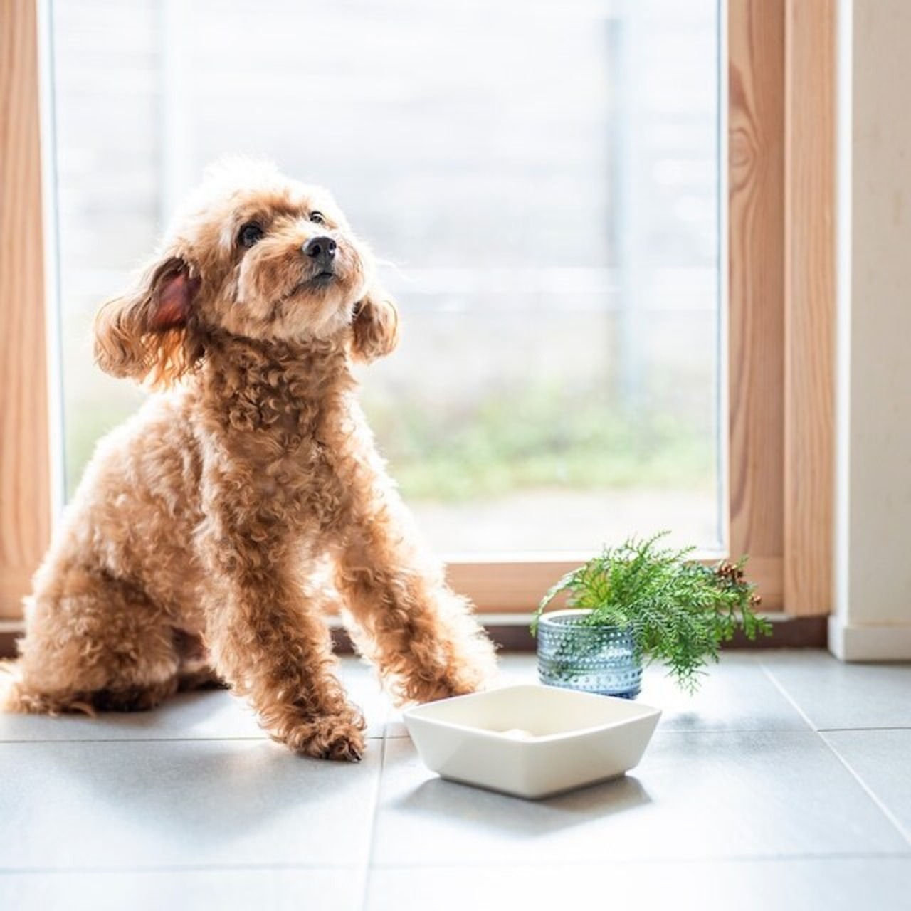 米粉　ドーナツグルテンフリー【000733】