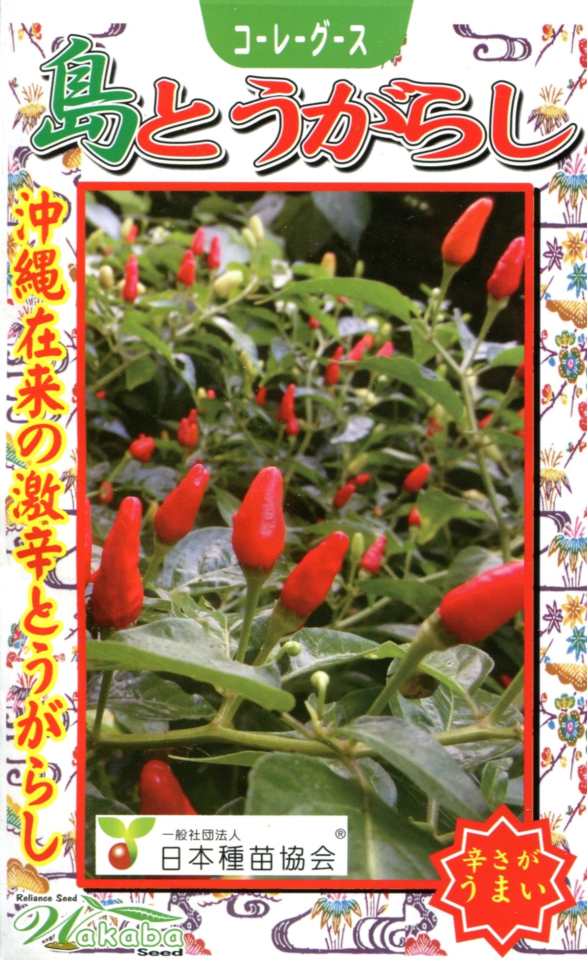 沖縄島野菜種子約30粒「島とうがらし」 | wakabaseed