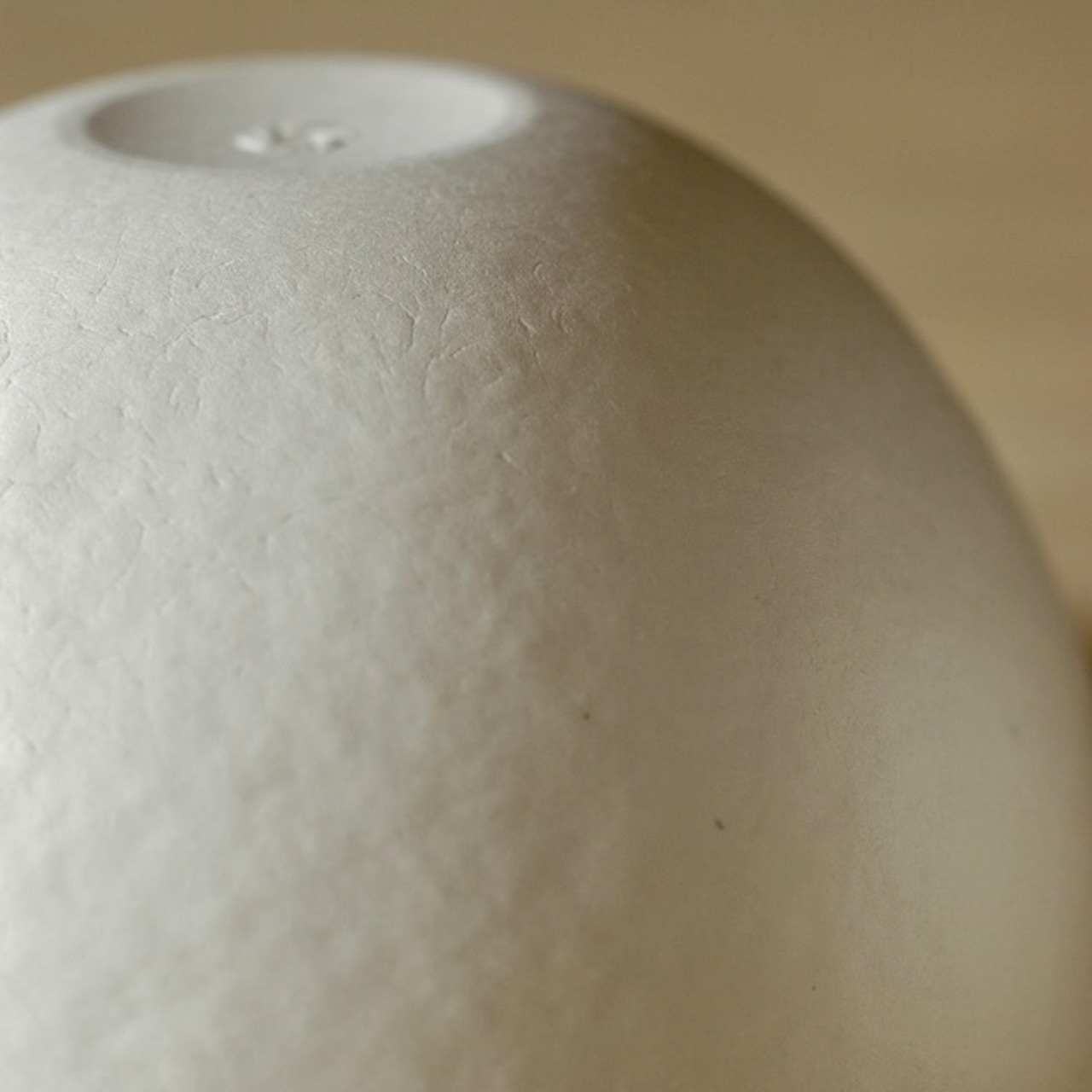 WASARA ボウル 6個入 | Bowls (6pc) Φ129mm | DM-007