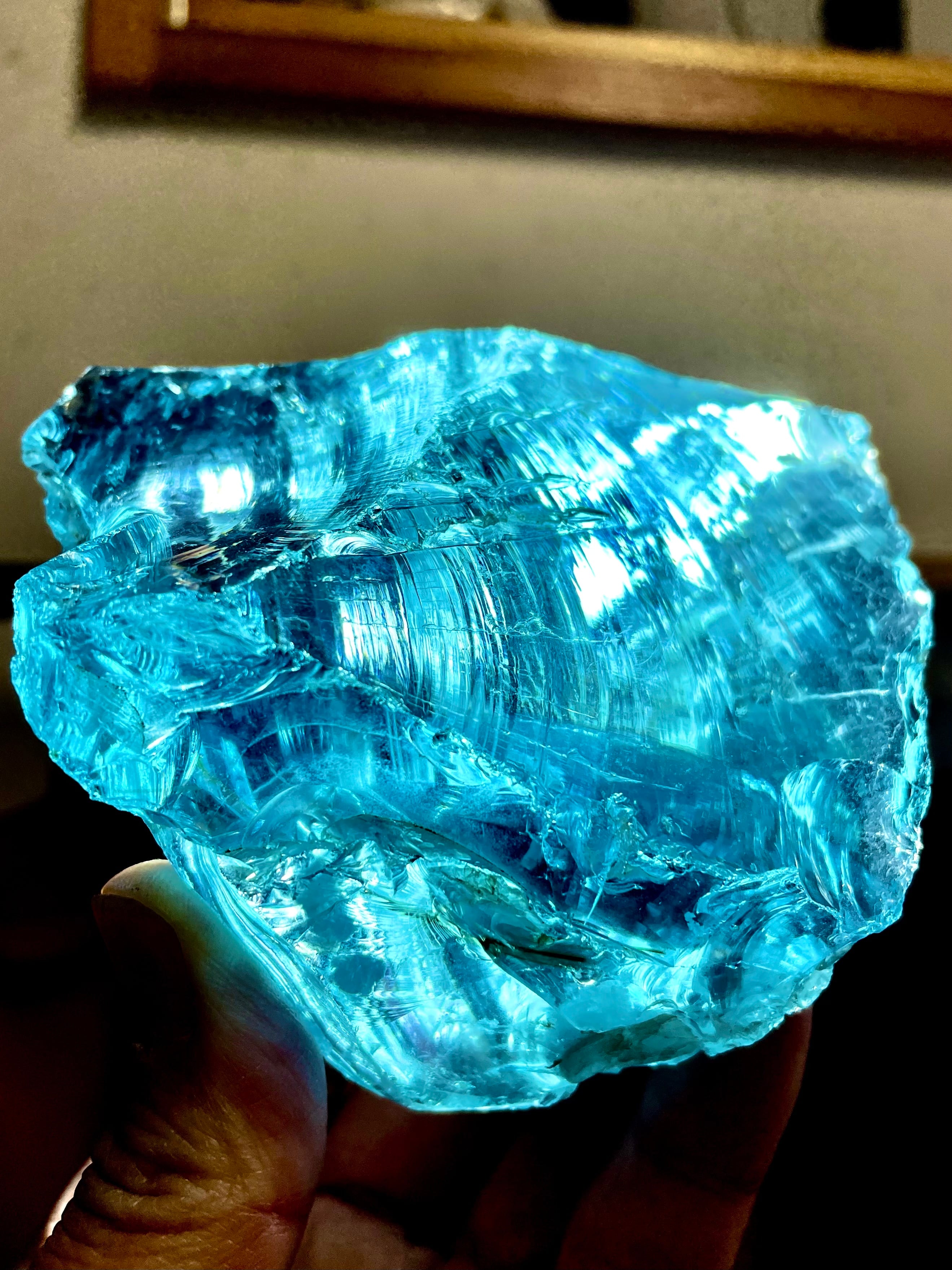 8) インドネシア産ブルーアンダラ